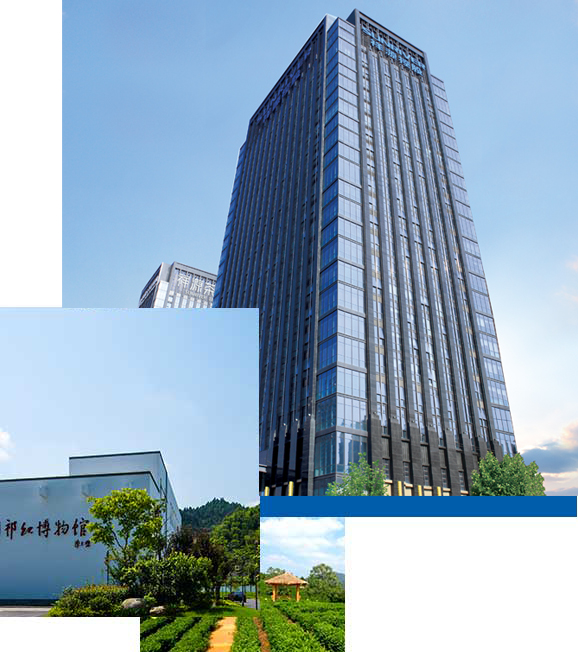Stake(中国区)官方网站
